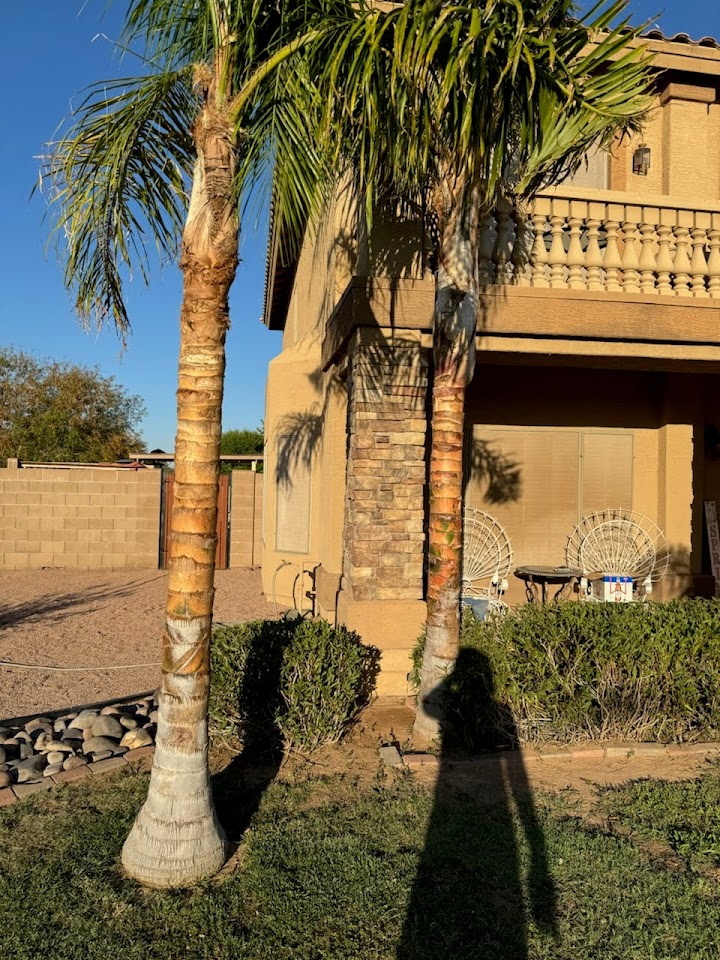 Reza Ready Landscaping project